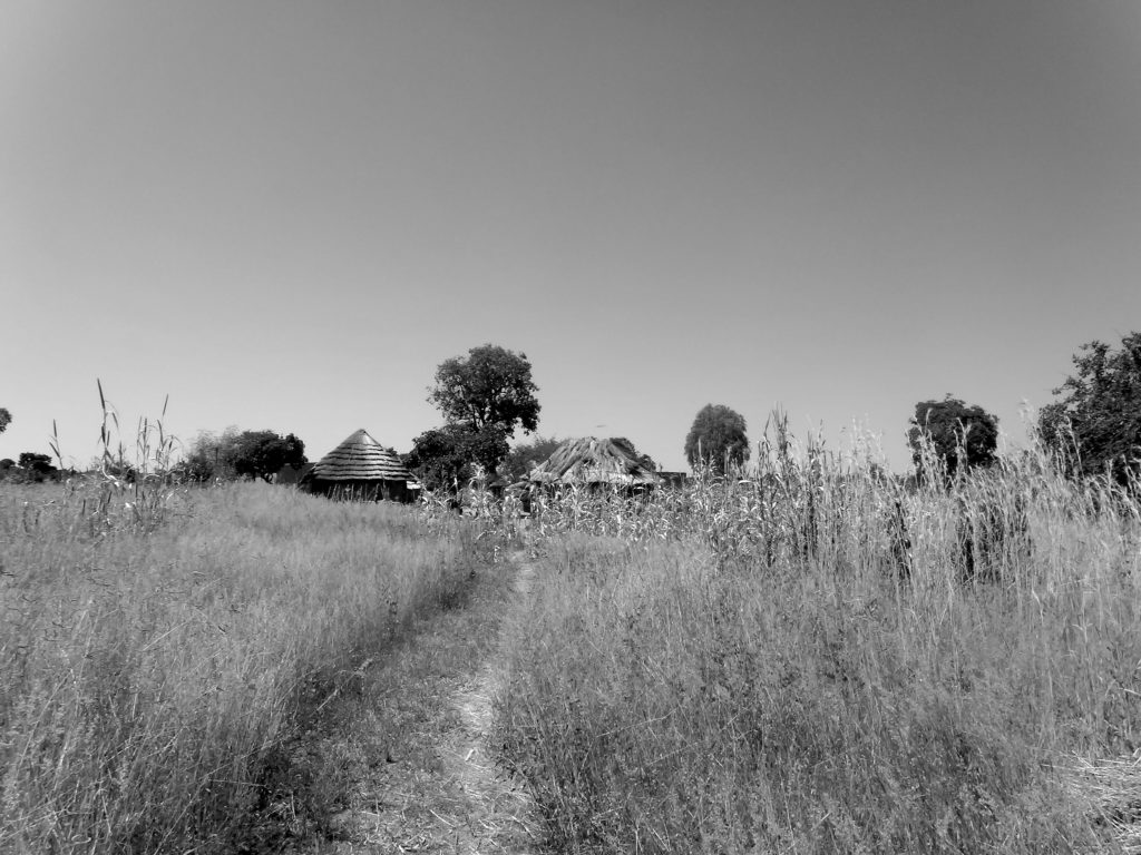 Figure 3 : Unité résidentielle d’un village du ward 15 (Silewu), district de Hwange © Zénaïde Dervieux, 2015
